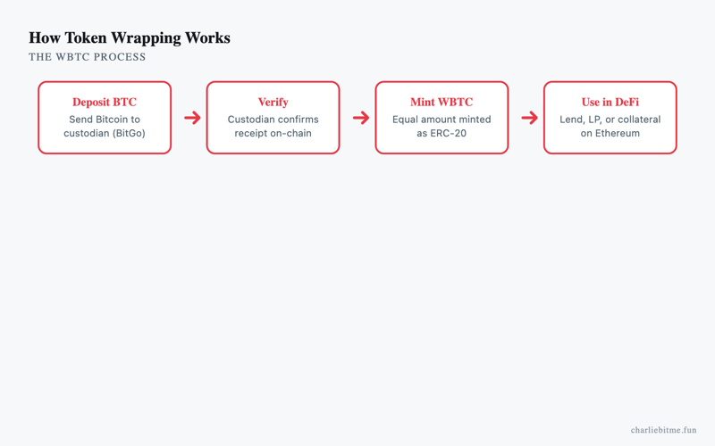 Wrapped Tokens Explained Infographic - Charlie Bit Me